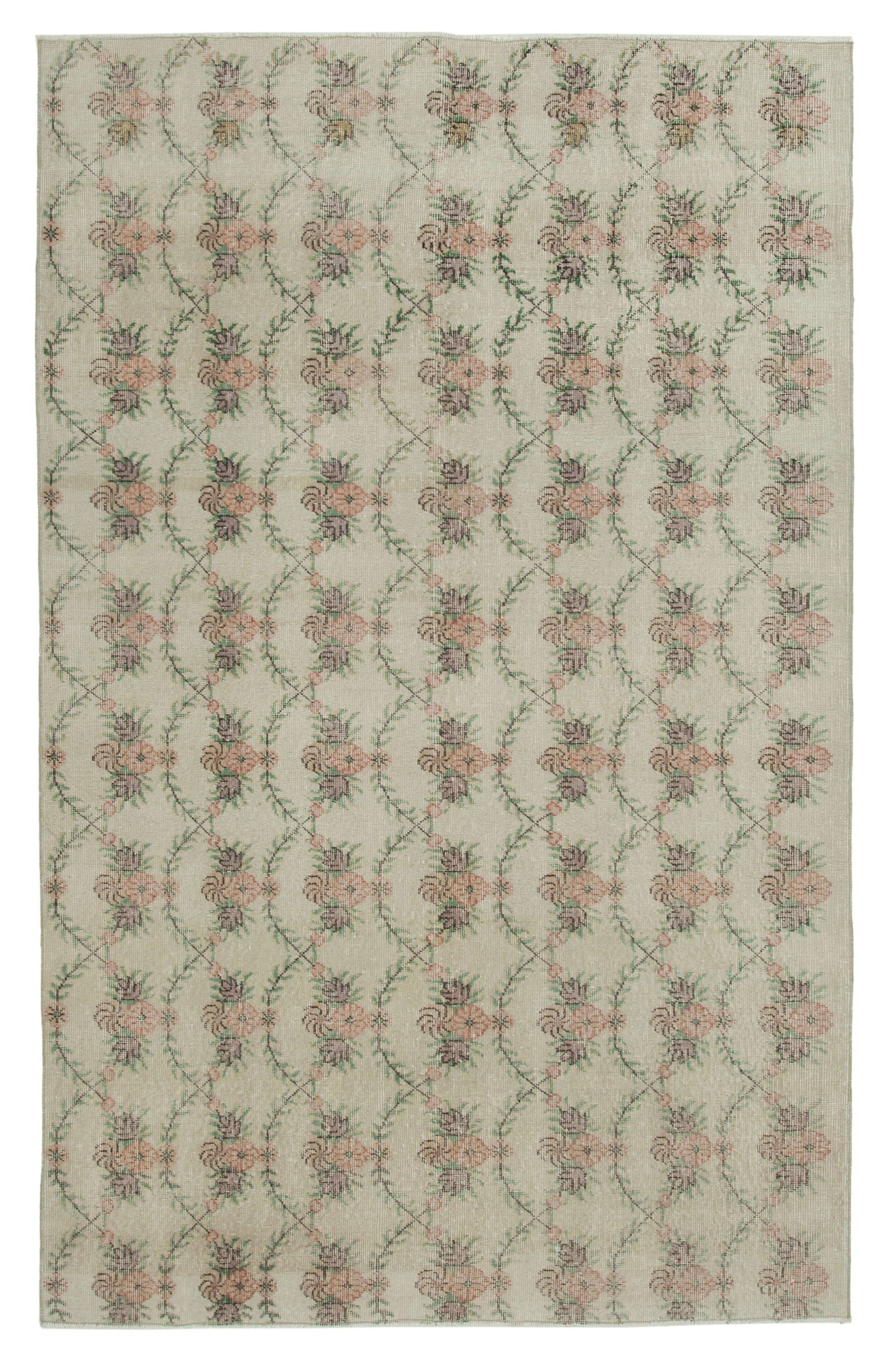 6x9 Beige Bohemian Rug  - 21787