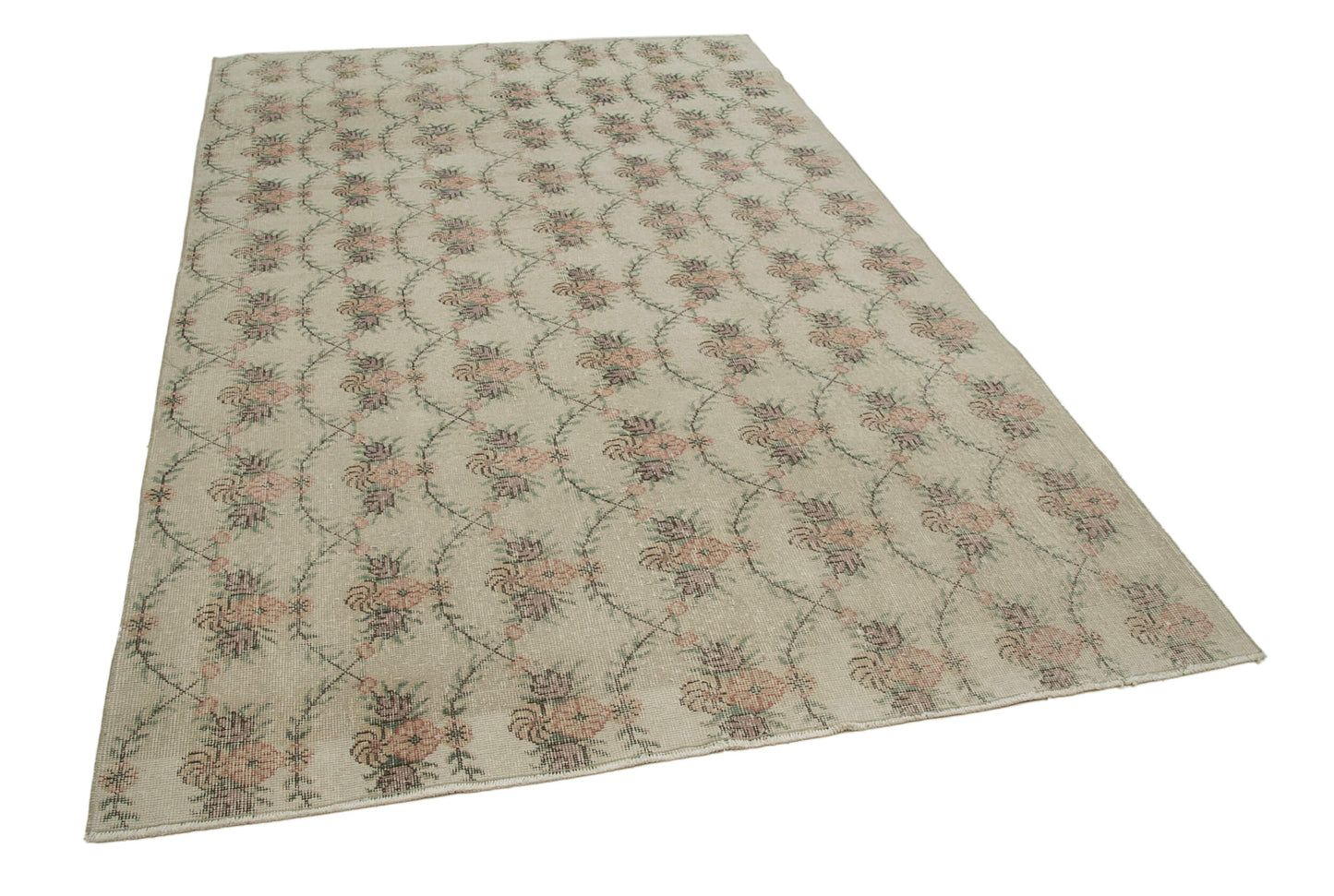 6x9 Beige Bohemian Rug  - 21787