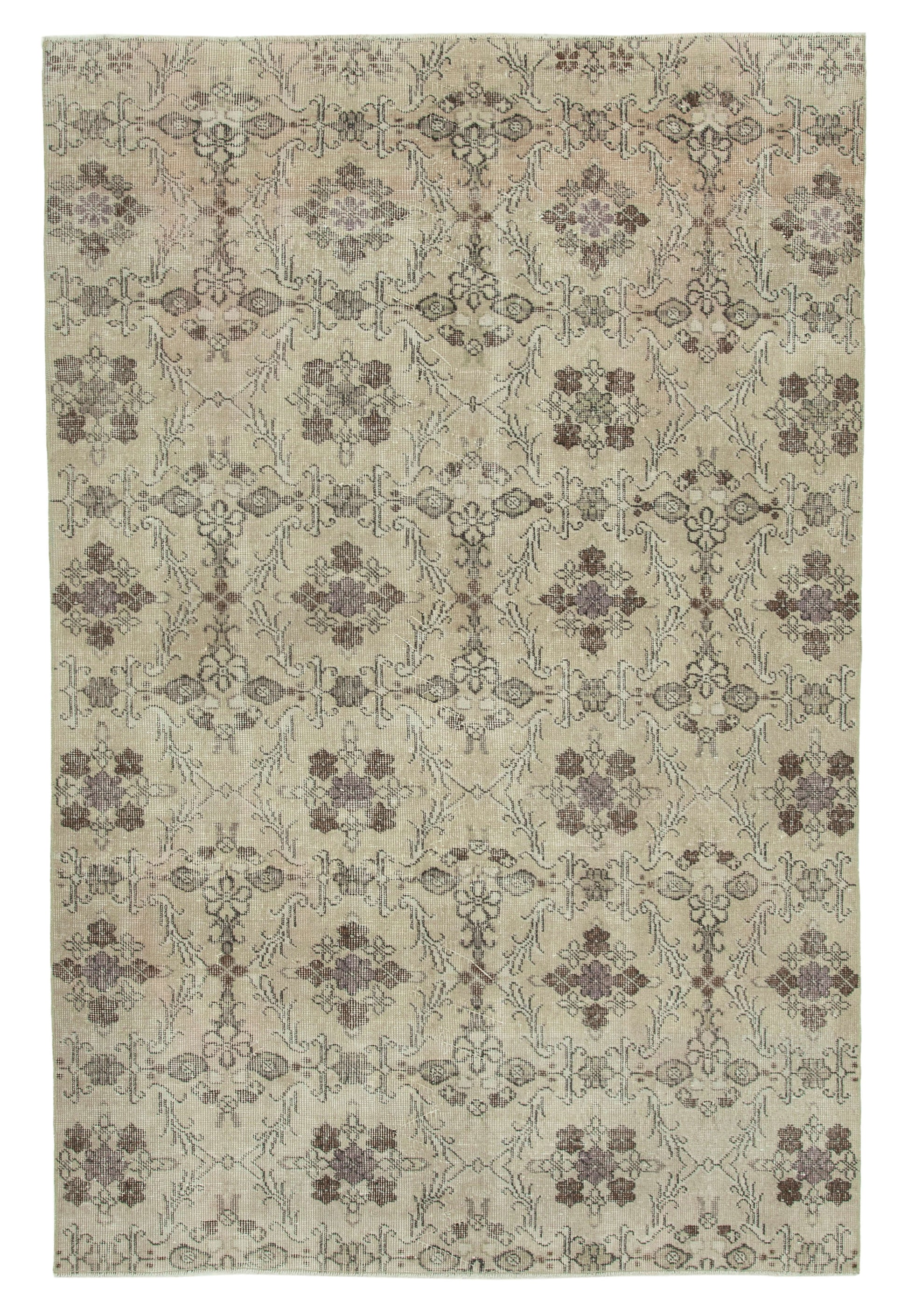 6x8 Beige Bohemian Rug  - 21788