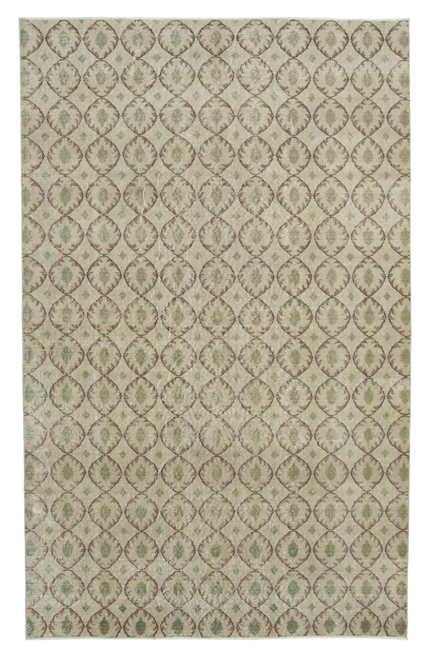 6x9 Beige Bohemian Rug  - 21793