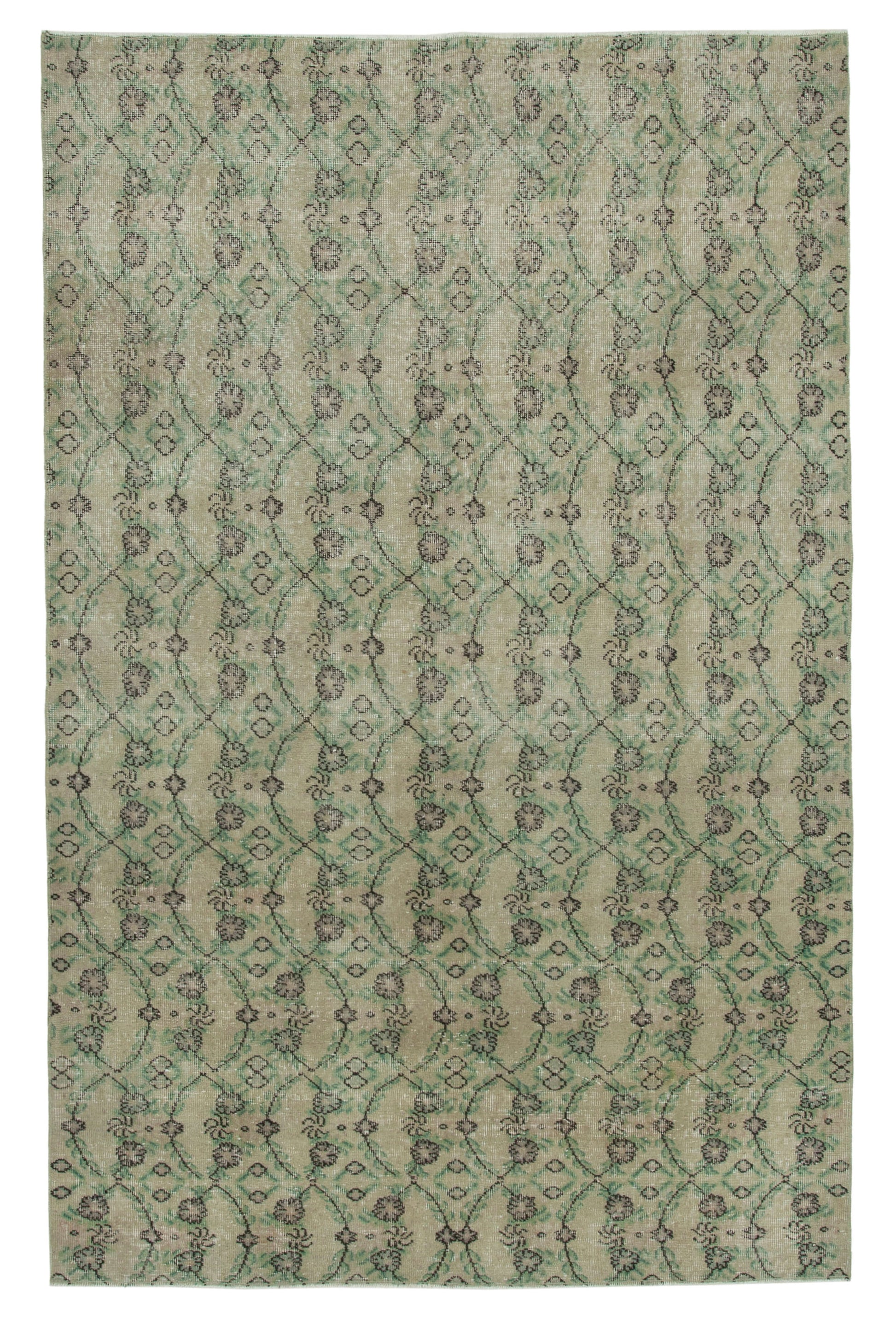 5x8 Beige Bohemian Rug  - 21799