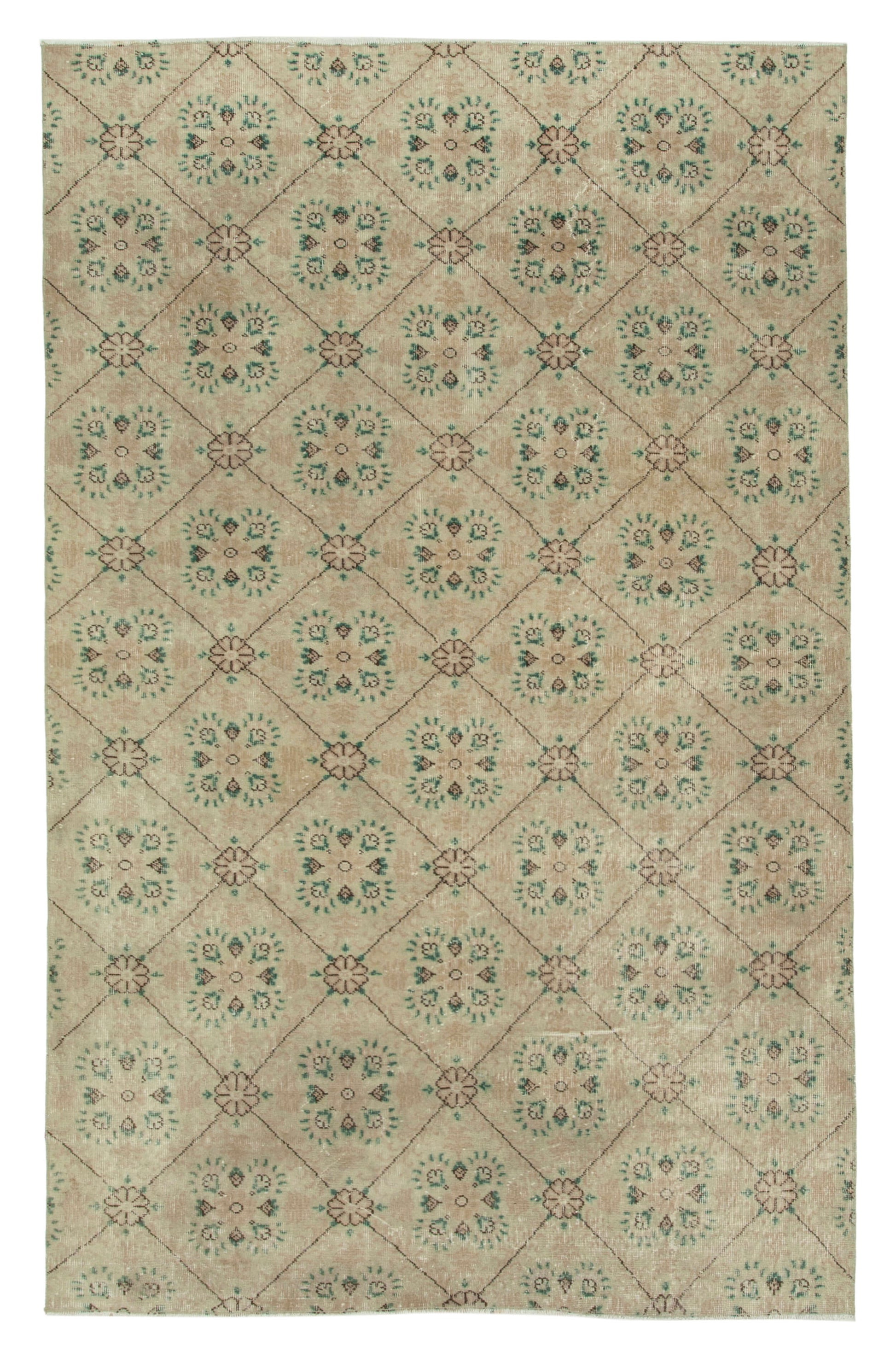 6x9 Beige Bohemian Rug  - 31306