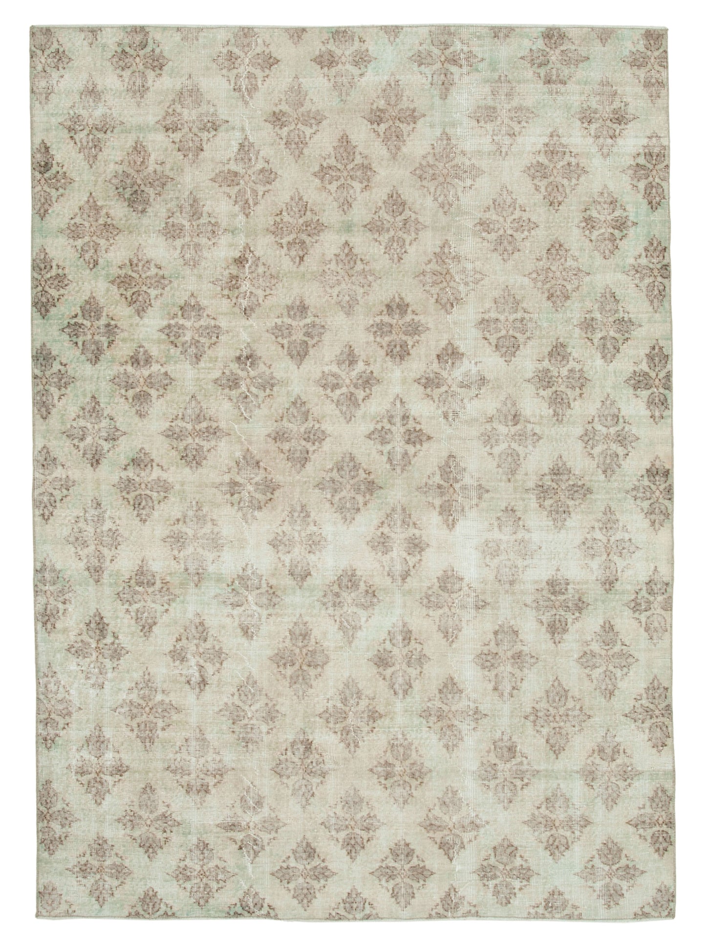 6x9 Beige Bohemian Rug  - 31309