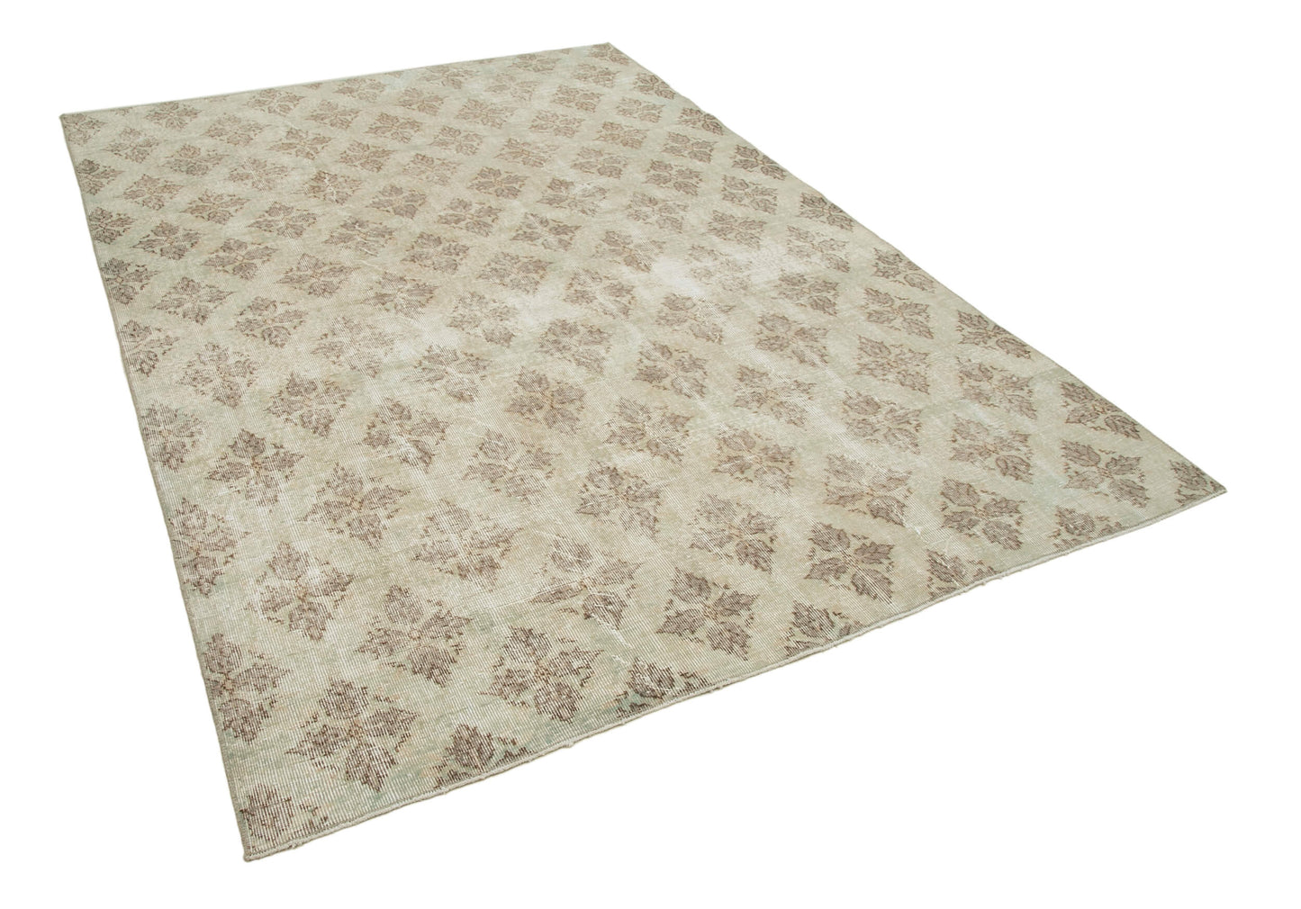 6x9 Beige Bohemian Rug  - 31309