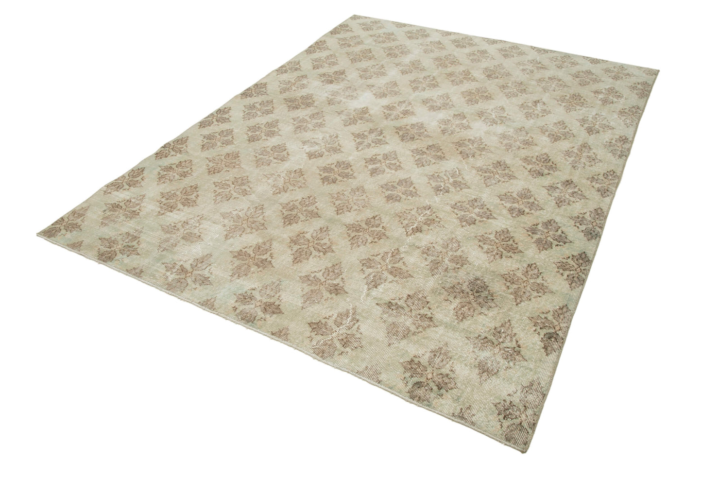 6x9 Beige Bohemian Rug  - 31309