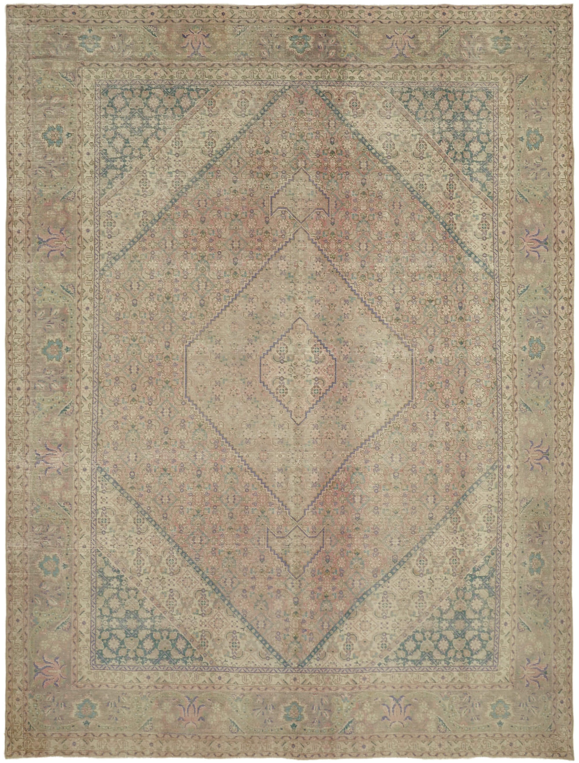 10x13 Beige Vintage Large Area Rug - 44021