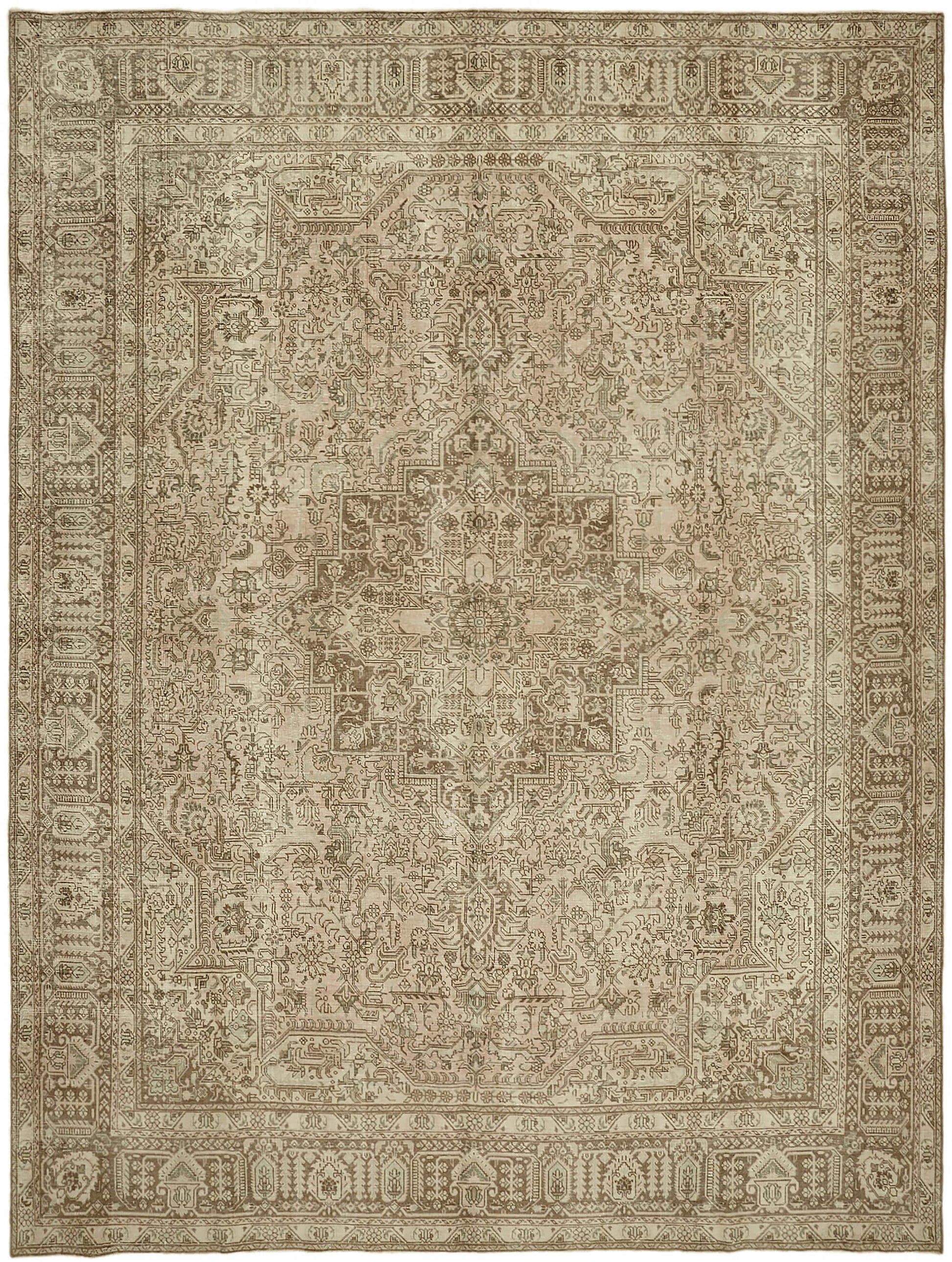 10x13 Beige Vintage Large Area Rug - 44283