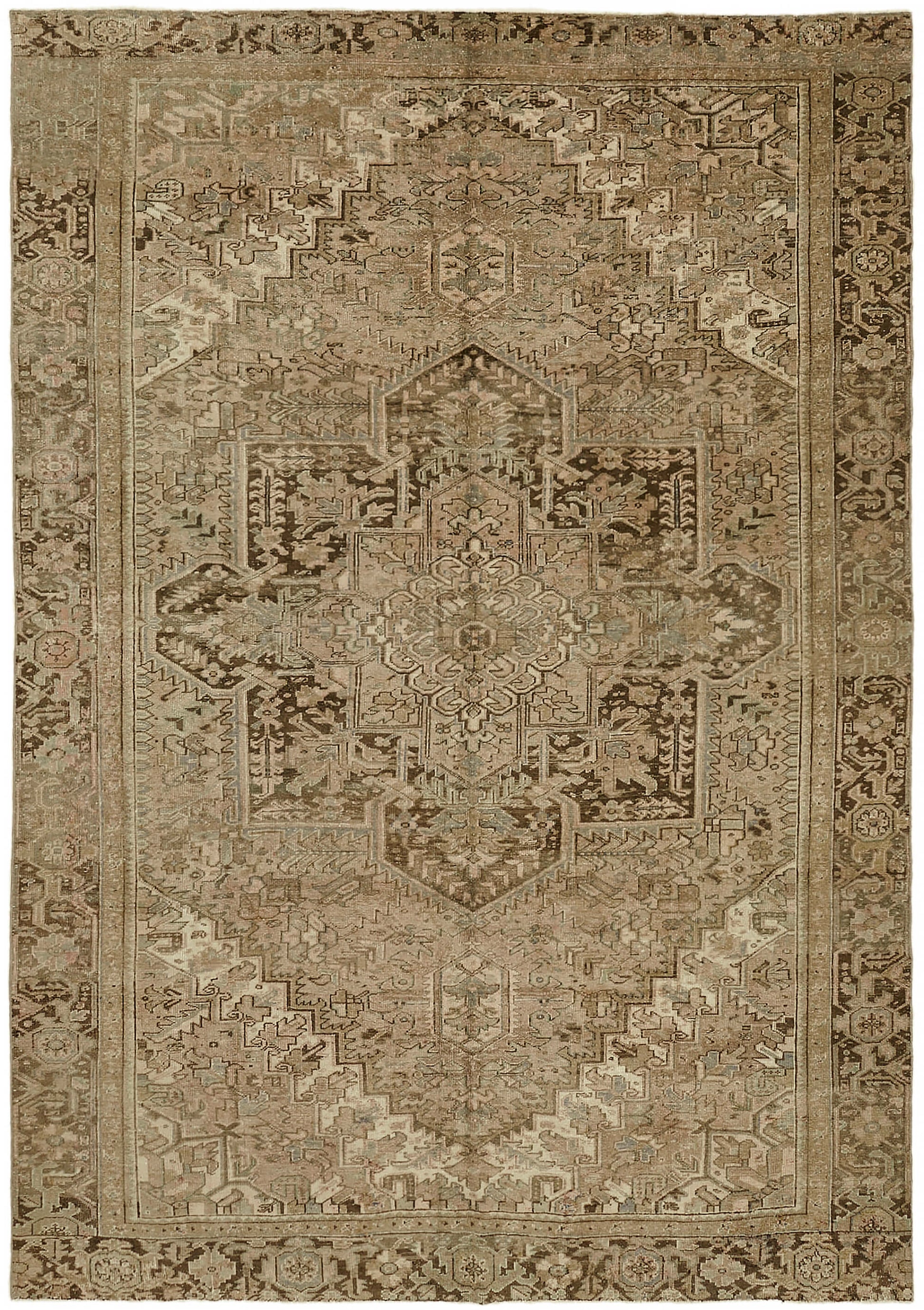 9x13 Beige Vintage Large Area Rug - 44291