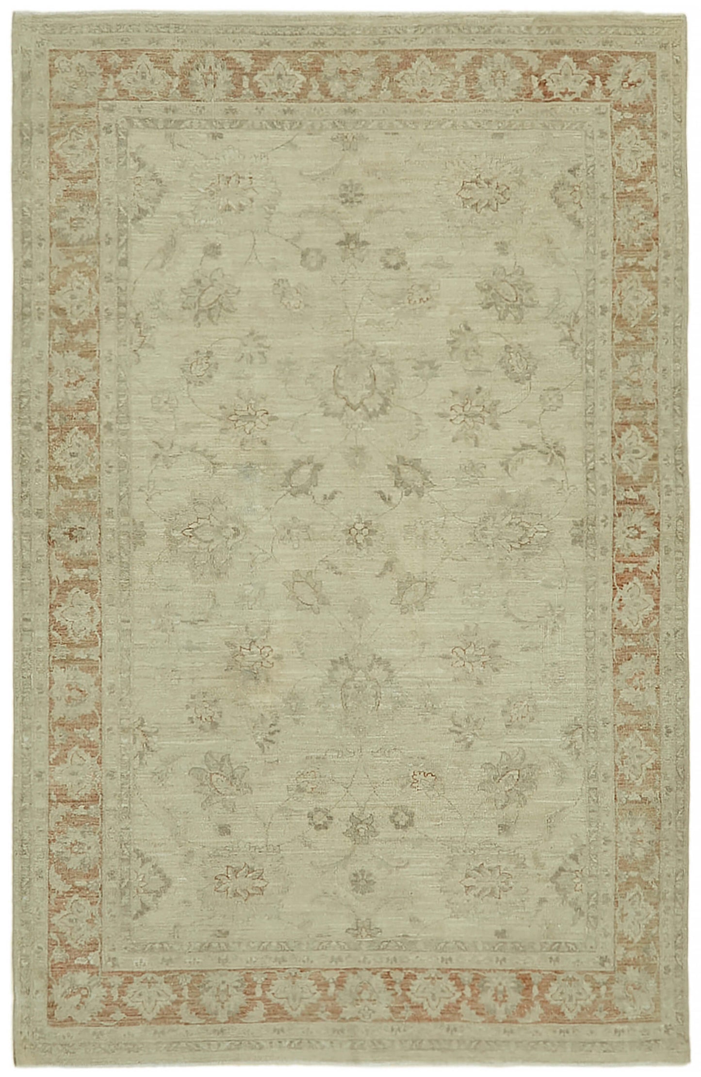 6x10 Beige Vintage Large Area Rug - 44401