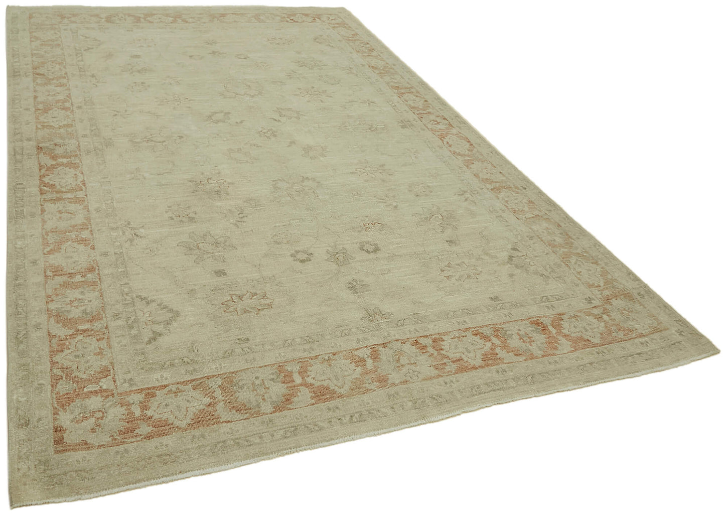 6x10 Beige Vintage Large Area Rug - 44401