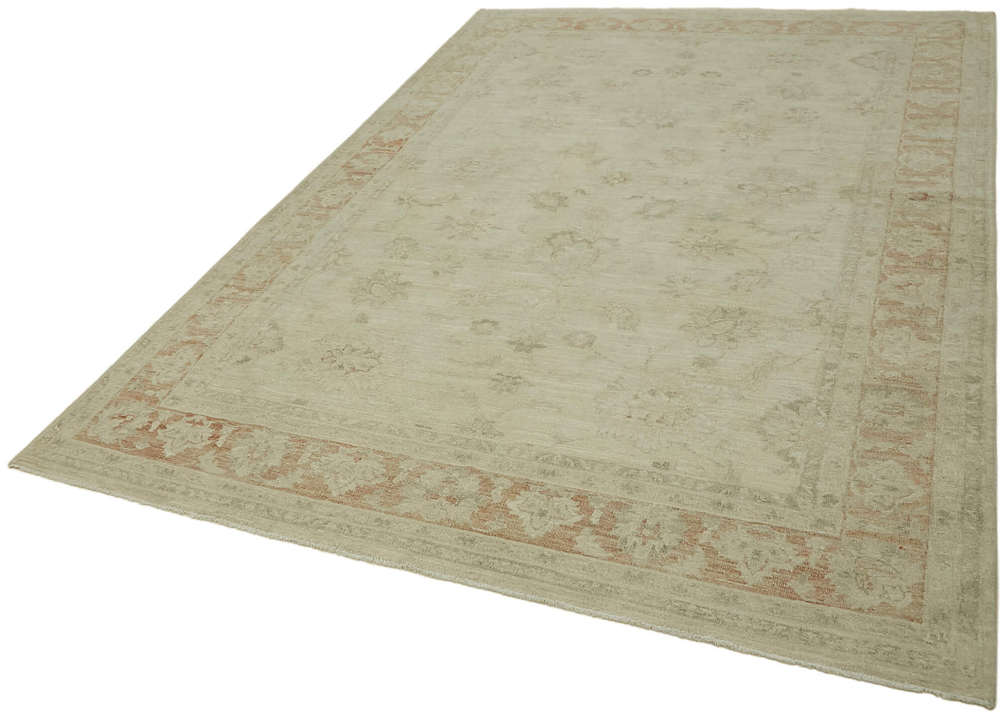 6x10 Beige Vintage Large Area Rug - 44401