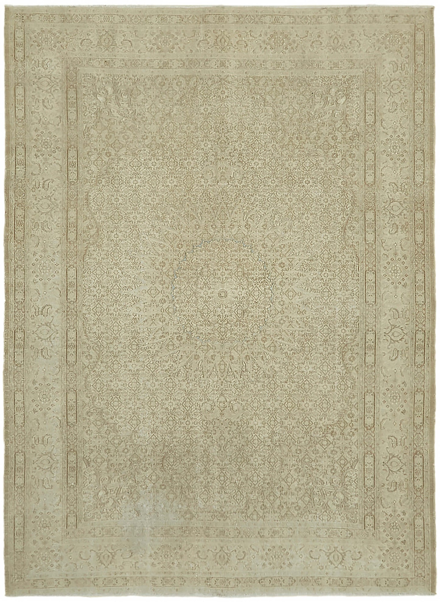 7x9 Beige Vintage Large Area Rug - 44426