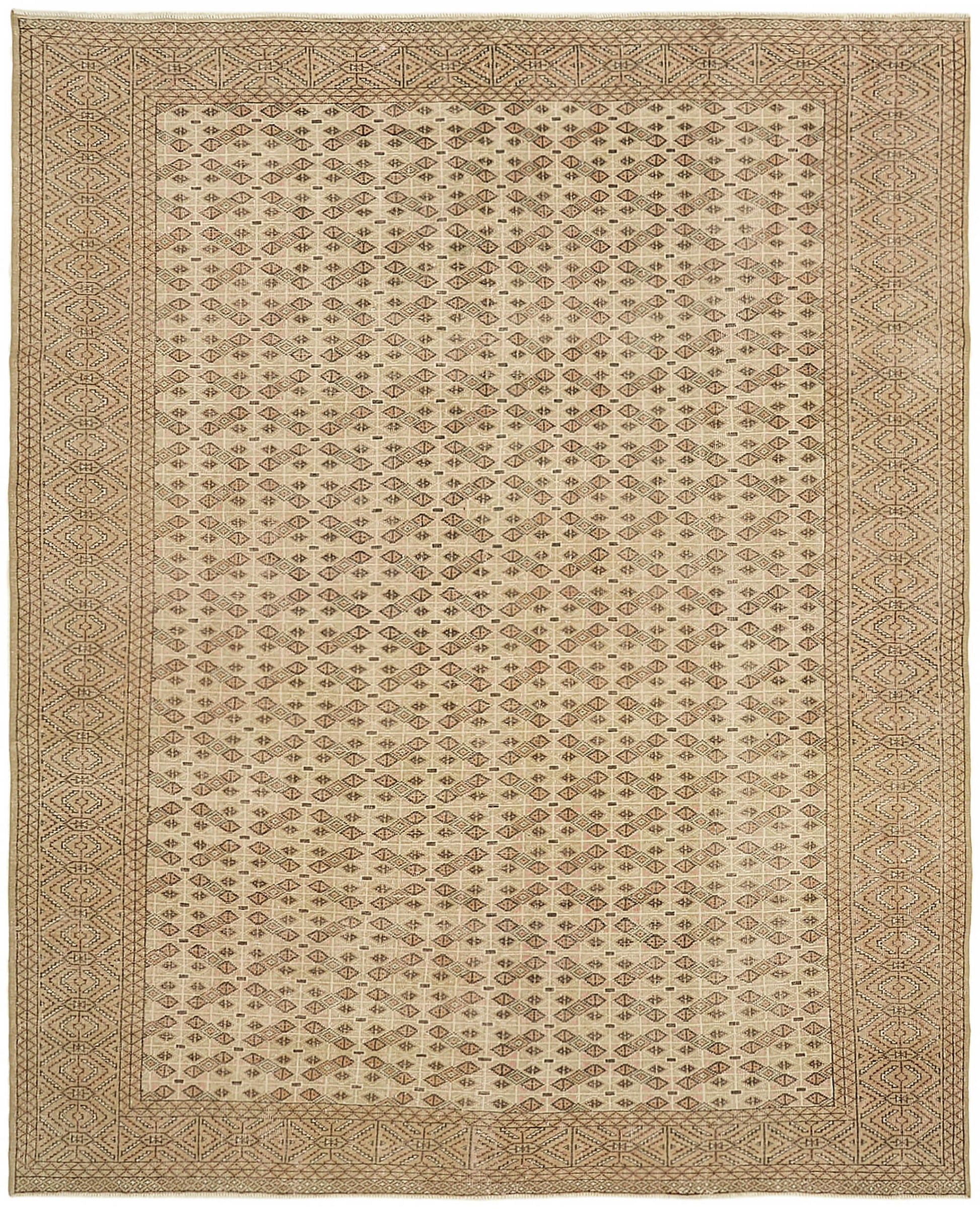 9x11 Beige Vintage Large Area Rug - 44726