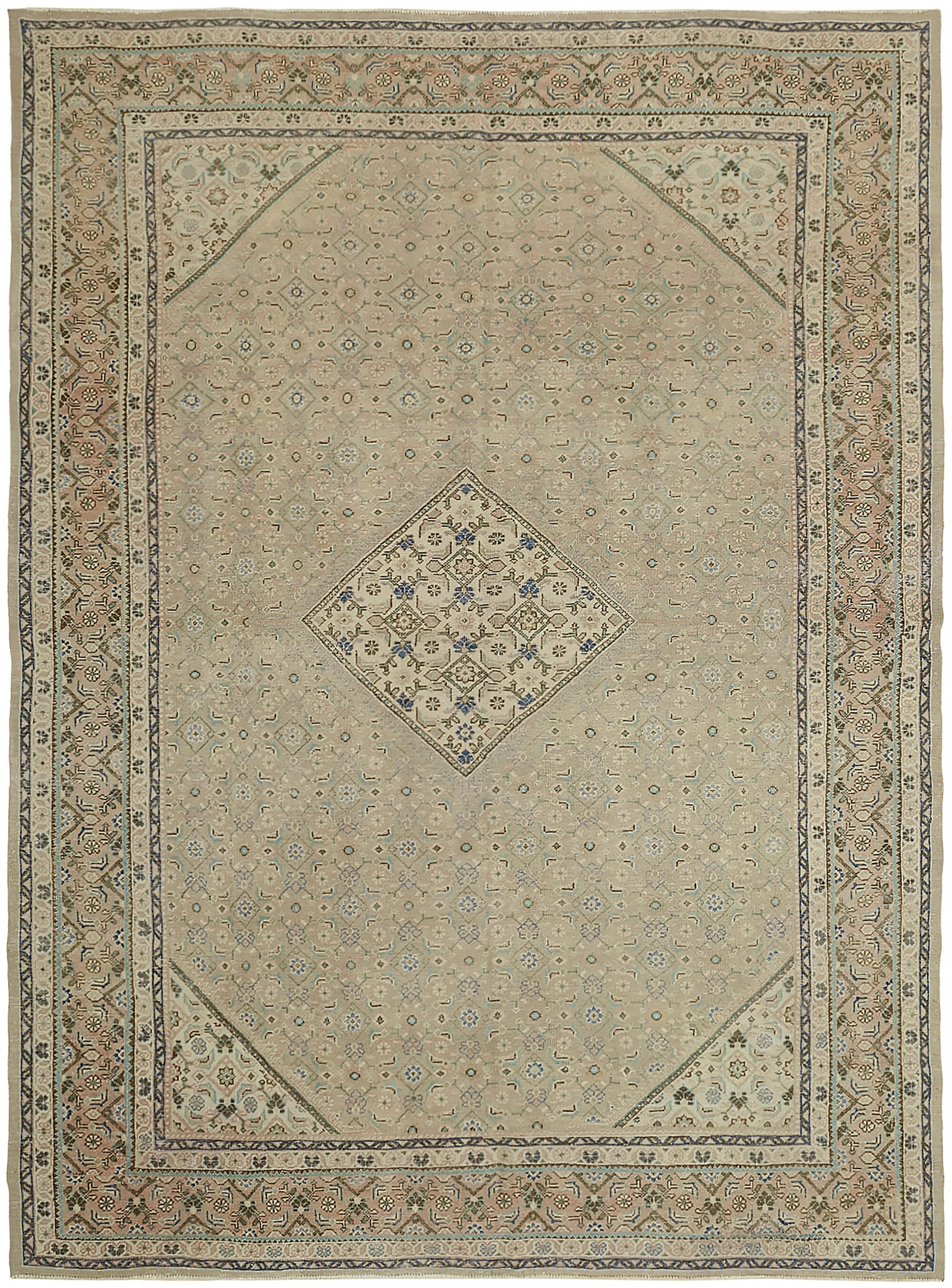 10x13 Beige Vintage Large Area Rug - 45503