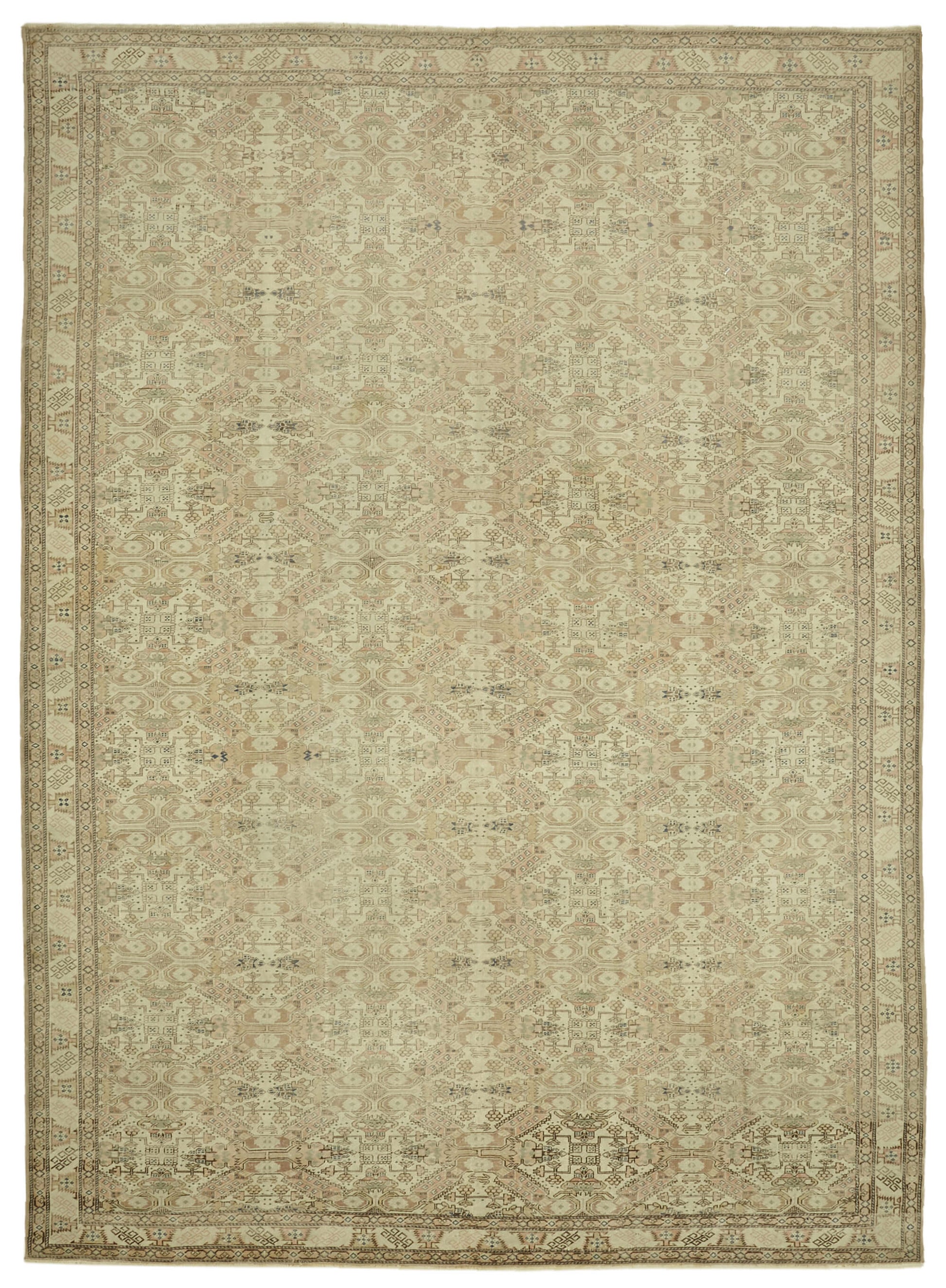 10x14 Beige Vintage Large Area Rug - 46396