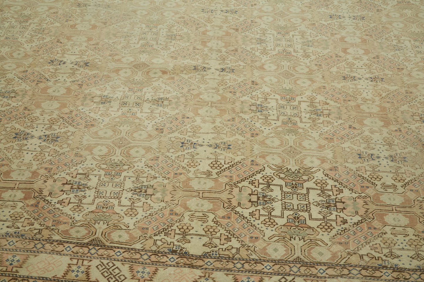 10x14 Beige Vintage Large Area Rug - 46396