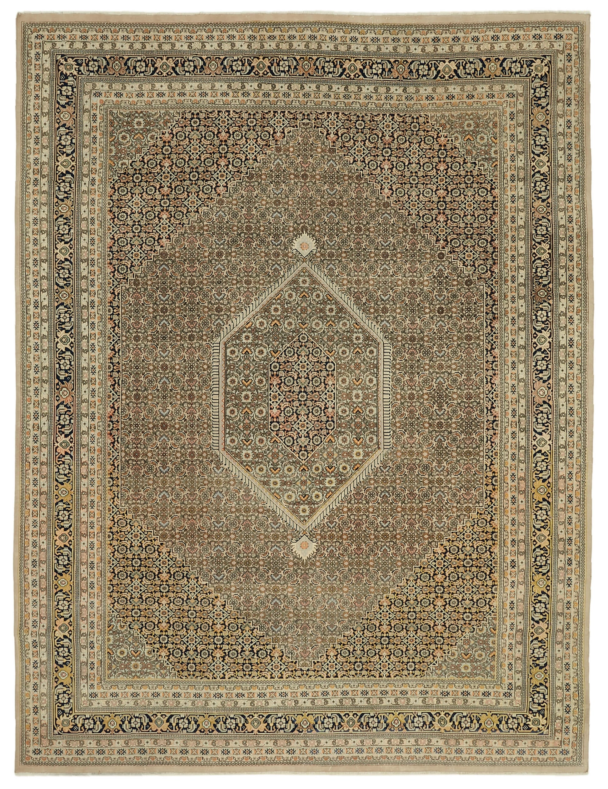 9x13 Beige Vintage Large Area Rug - 46420