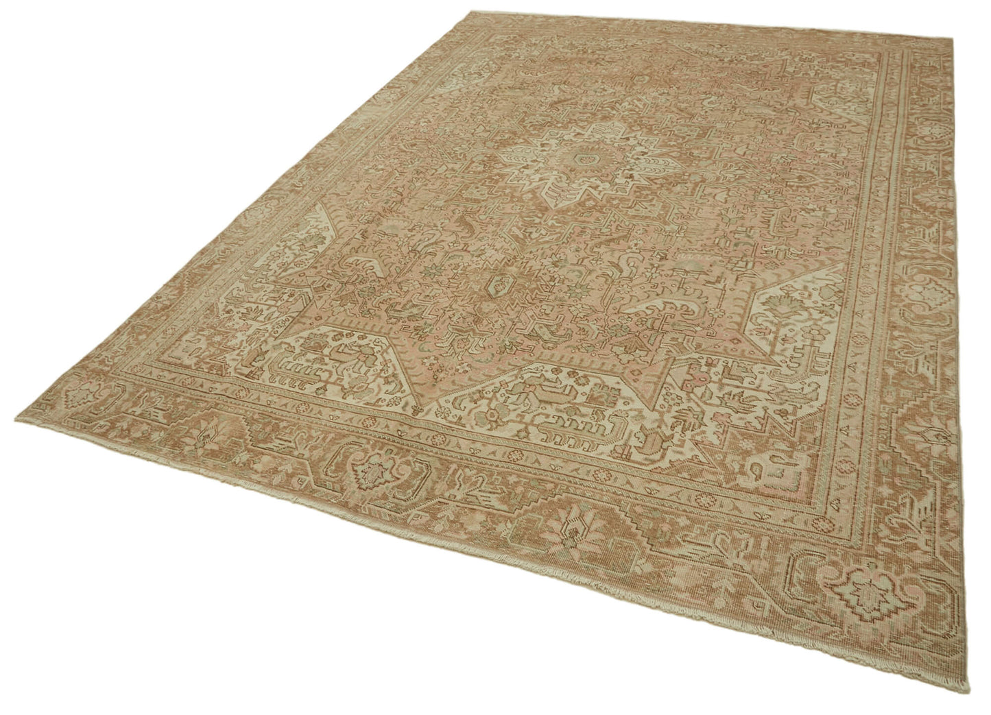 8x12 Beige Vintage Large Area Rug - 46445